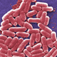 Illustration for article titled Very Fun Study Finds 1 in 3 Overseas Travelers Will Pick Up Drug-Resistant Bacteria